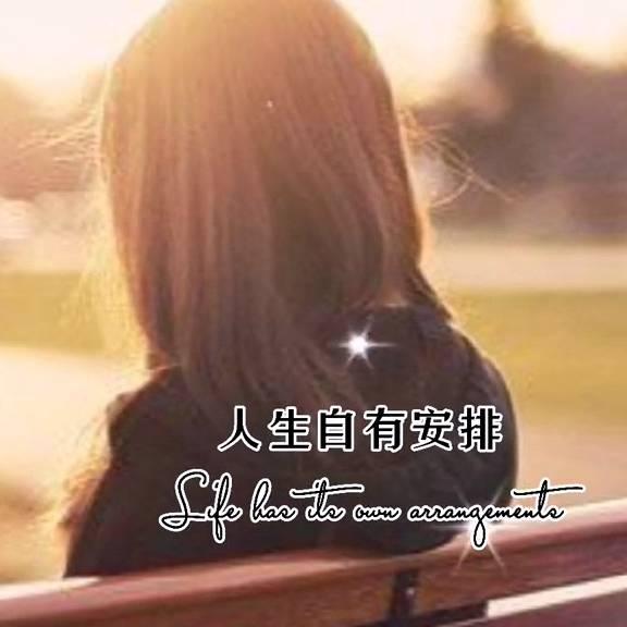 相识Shi缘份