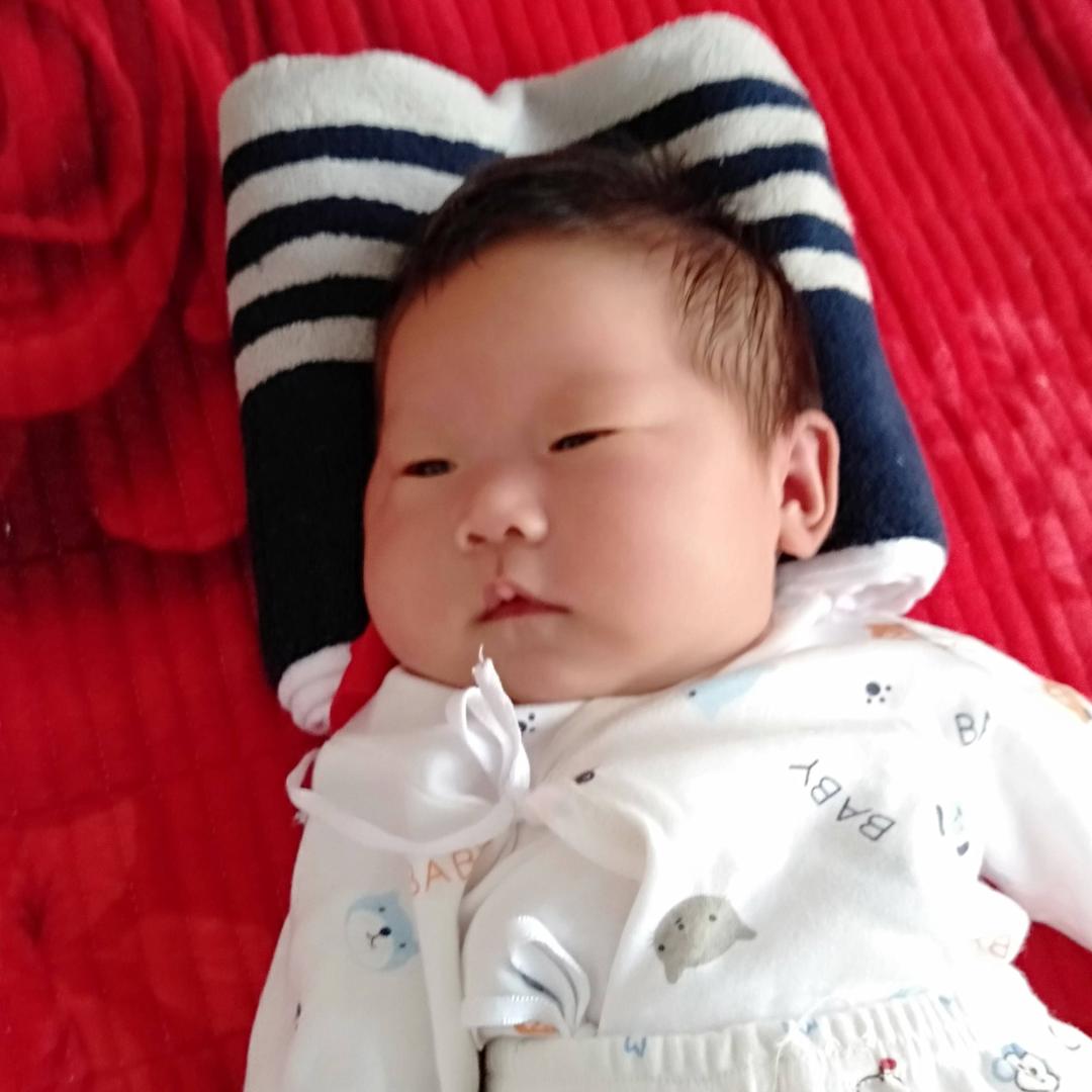 小丫丫的成长过程。