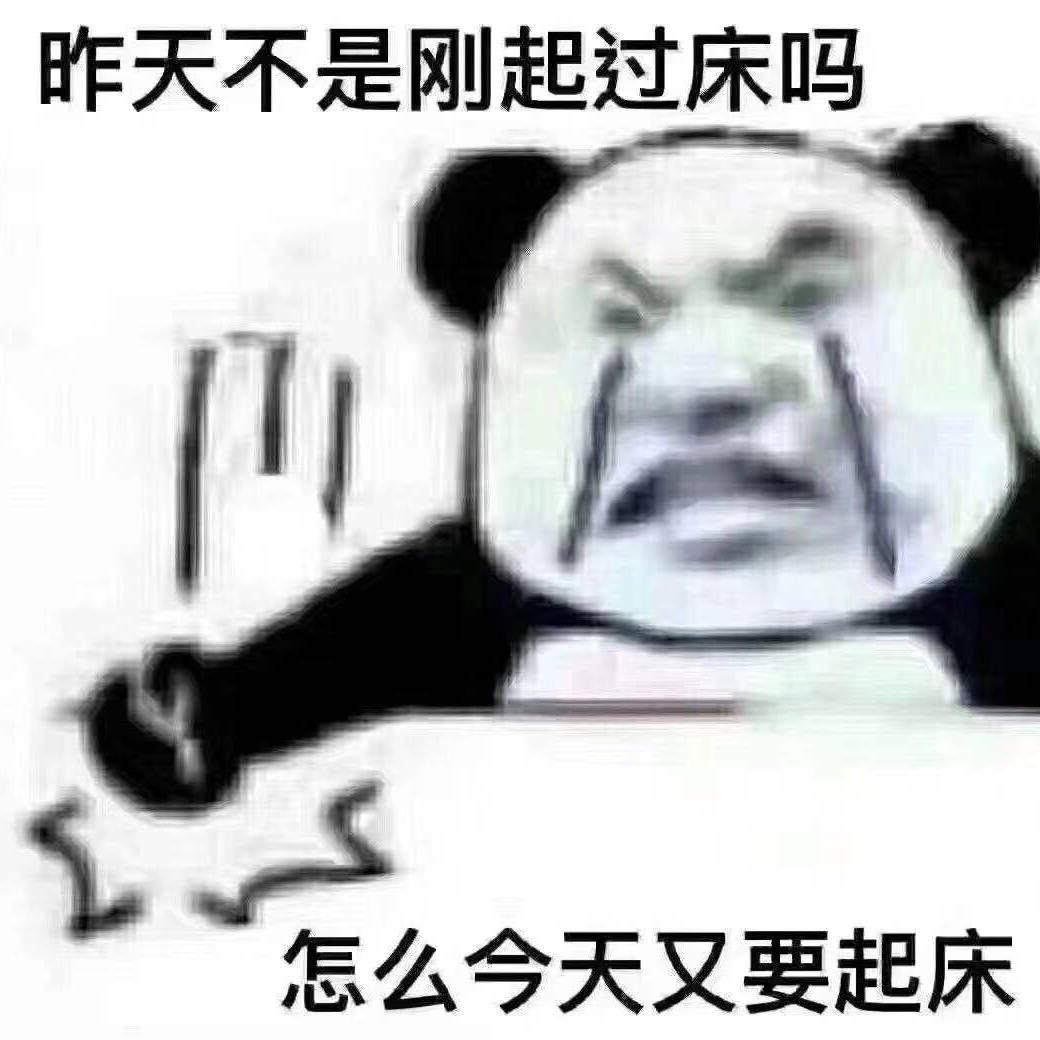 程程313