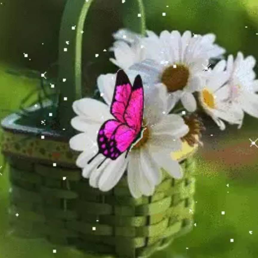 ⭐🌛开心🌜🌟