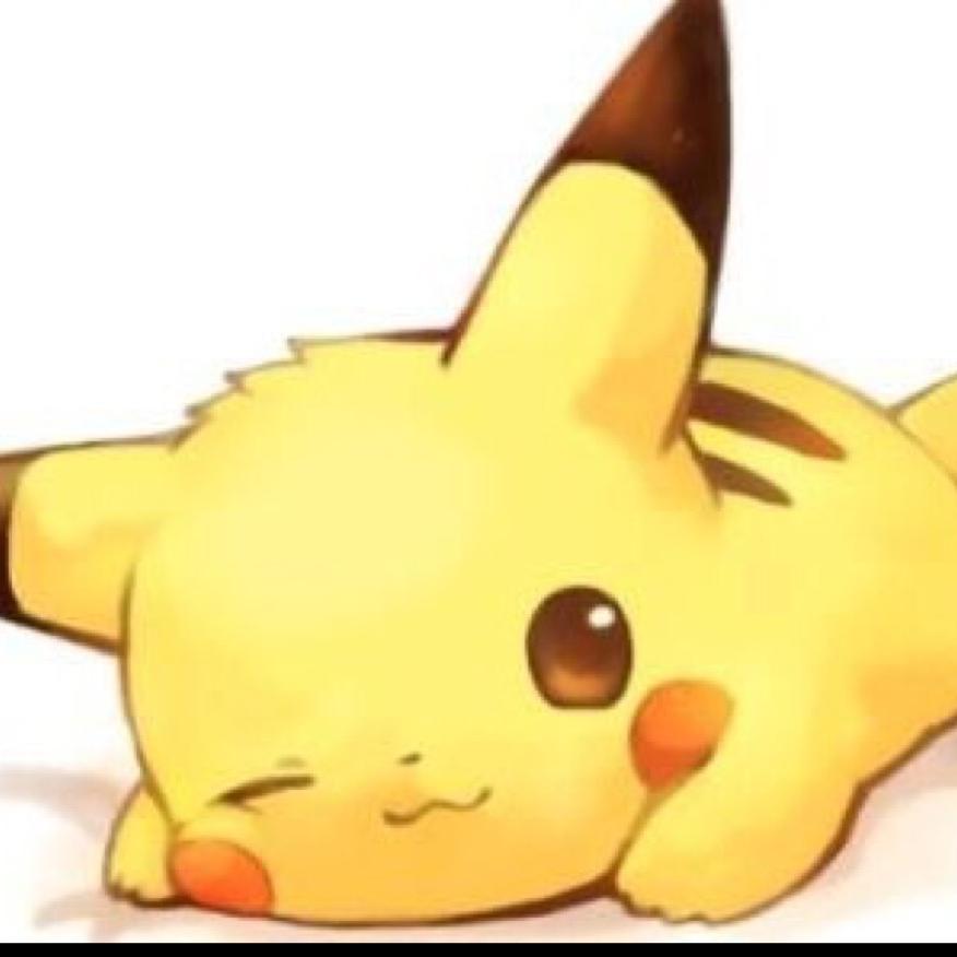✨查兔先生✨