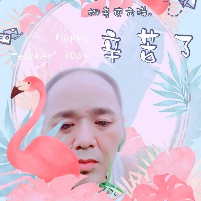 小鸽子 、