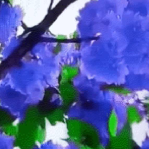 平凡的我64il