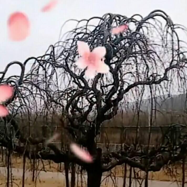 一起回到从前