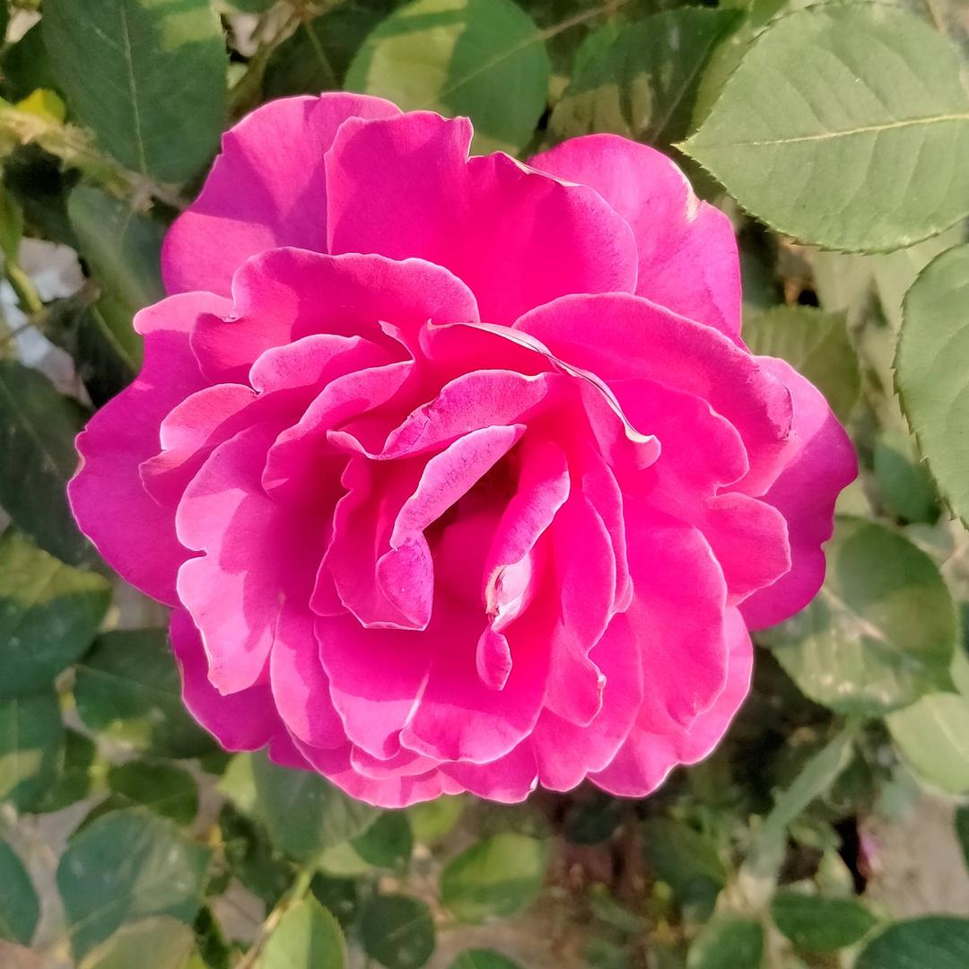 小雨滴，拒私聊