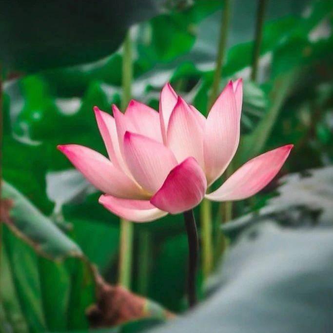 泰暖家居家养老