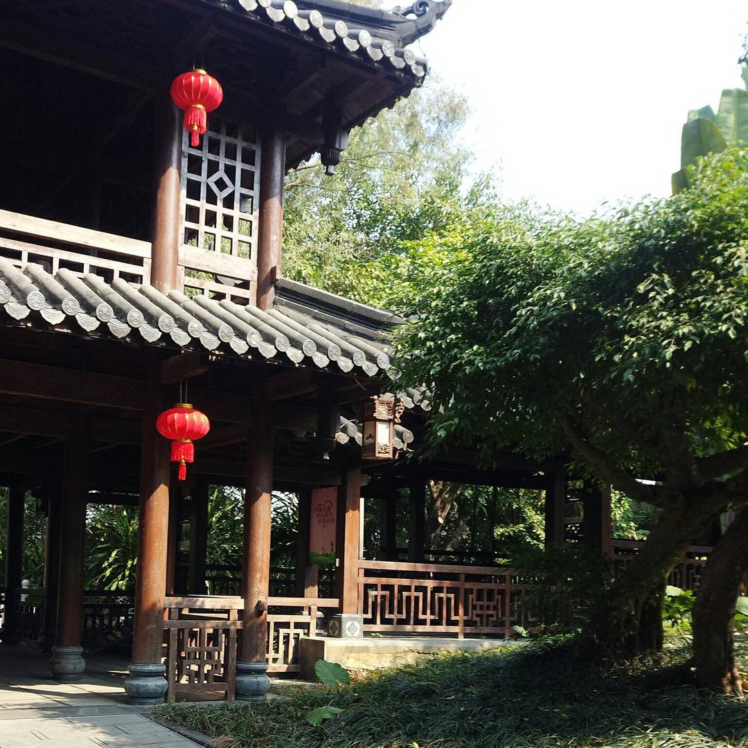 传播火山⛰️正能量