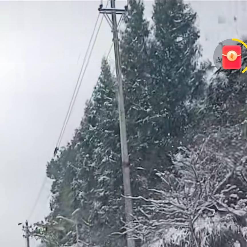 爱惜