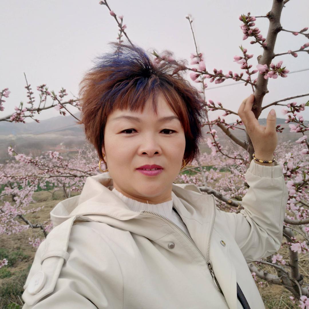 冰山雪莲