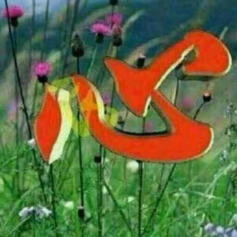 快乐中国人👍👍