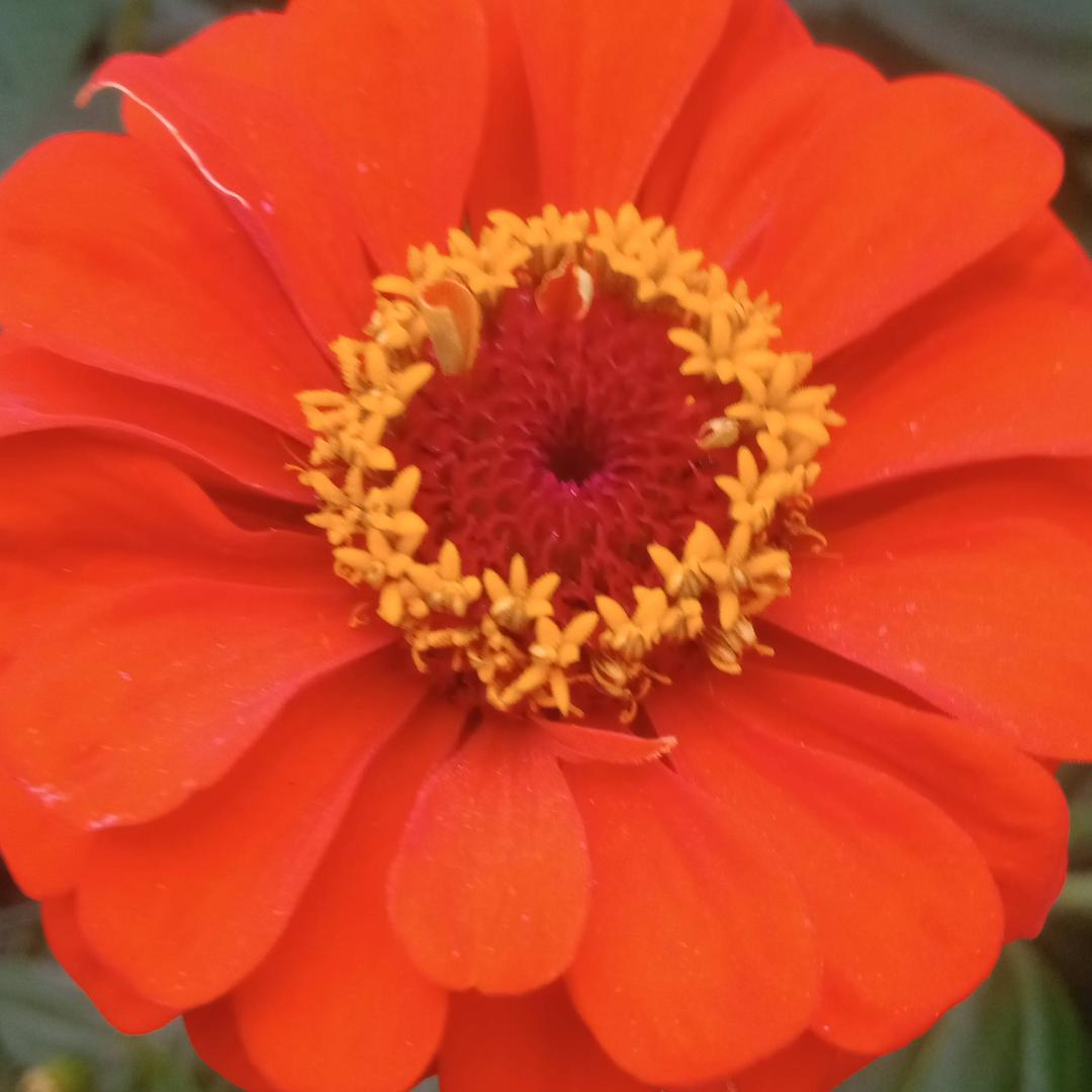 踏雪无痕...（袁）