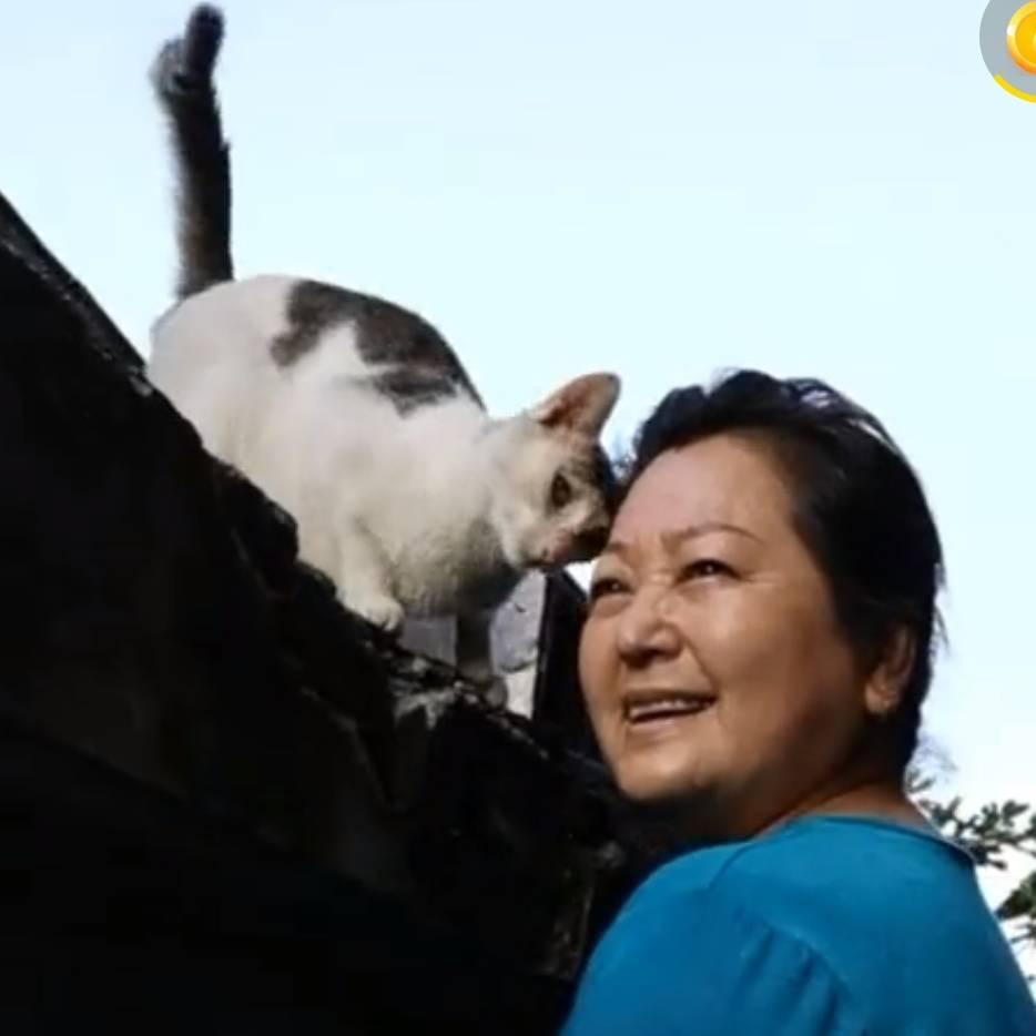 猫妈