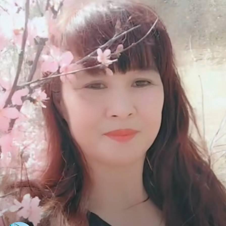 @冬雪寒梅