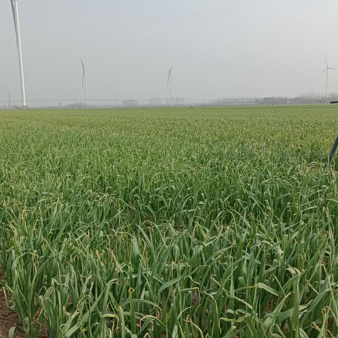 《酒梦夜雨《☜