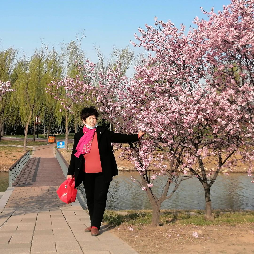 山东张大姐