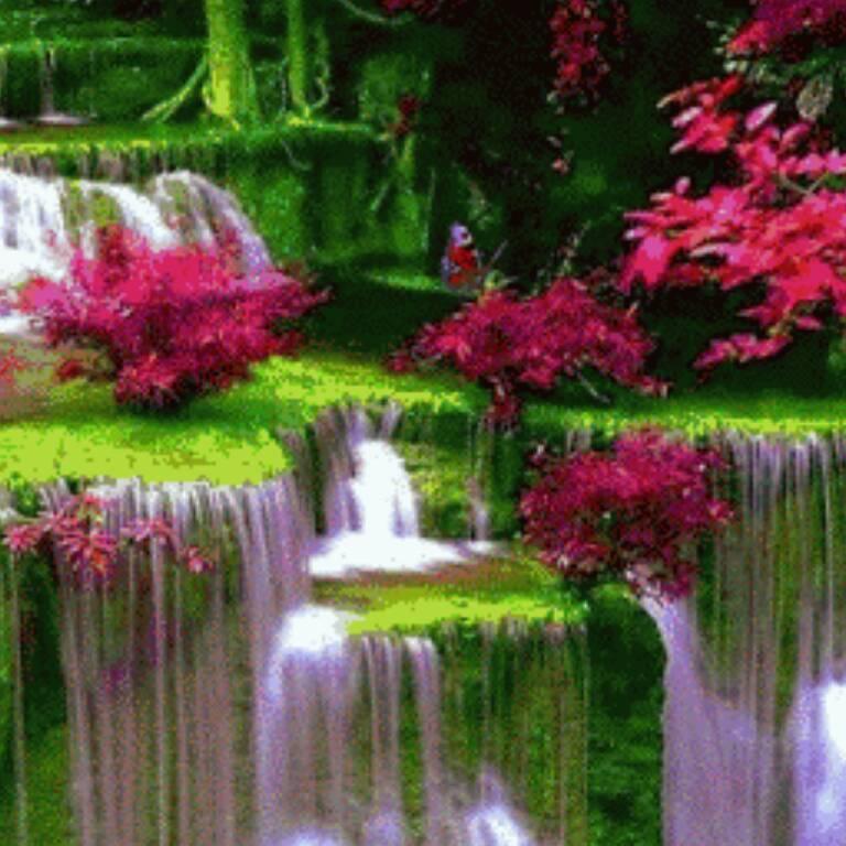 意泉