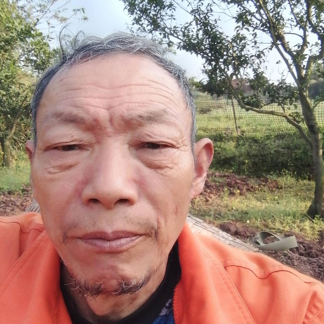 6o大哥