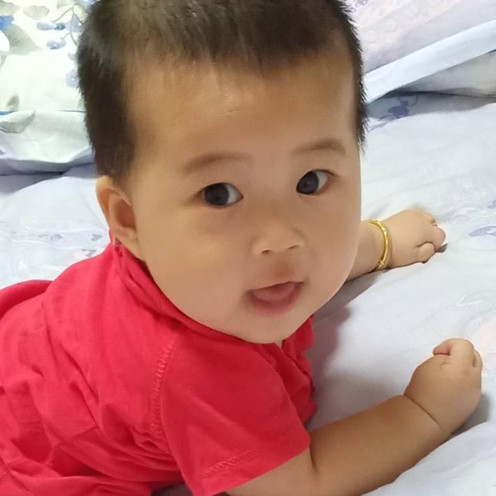 燕子妈咪