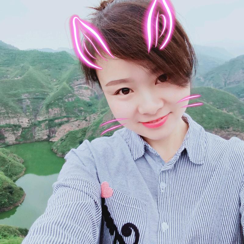 齐羽