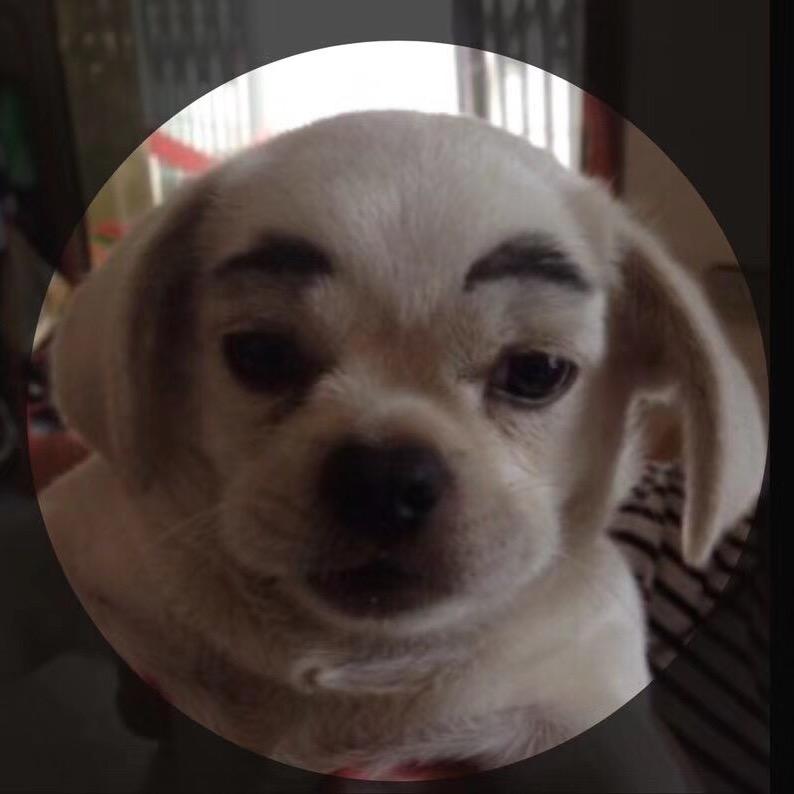 狗五