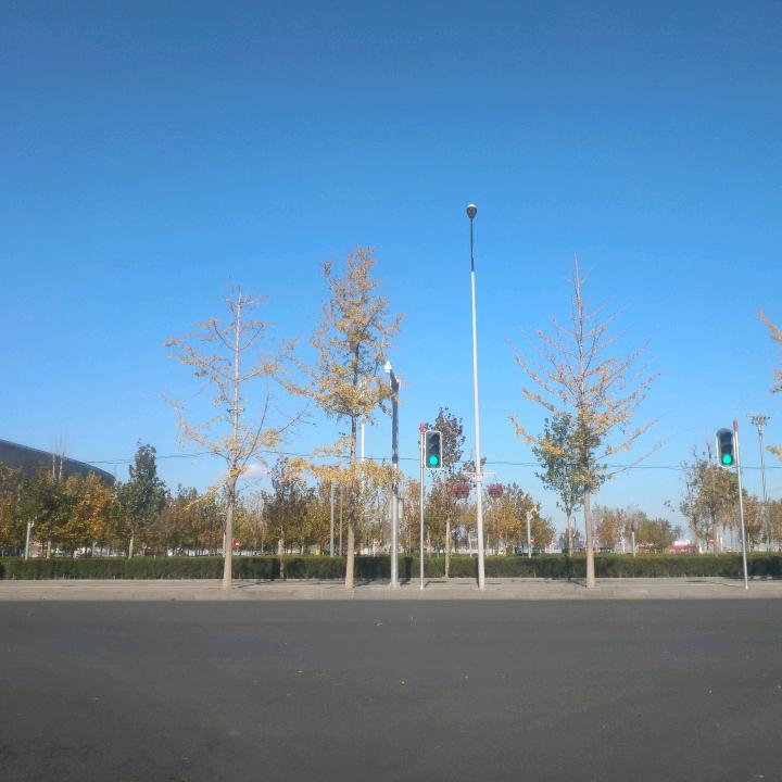 大宝熟食（6.14首播）