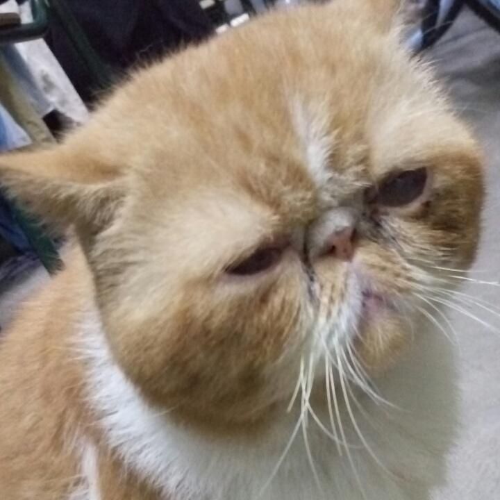忻奕