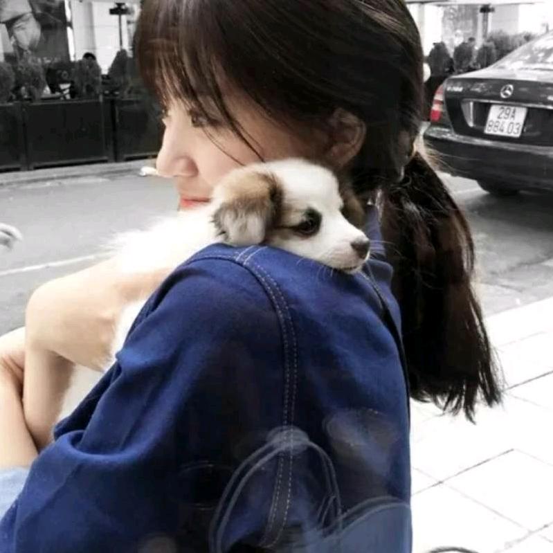 🎆回到从前🎊