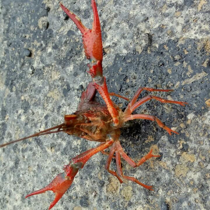 生活不易
