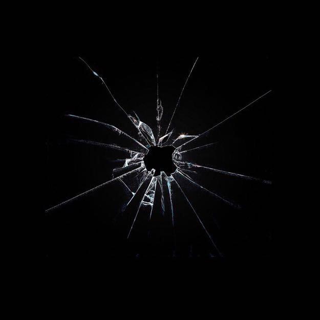 一颗·大草🌿🌱