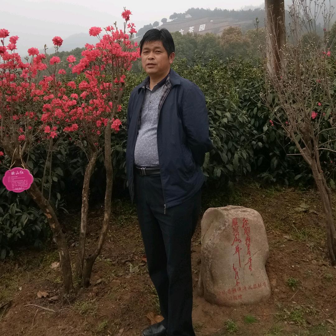 沉默是金