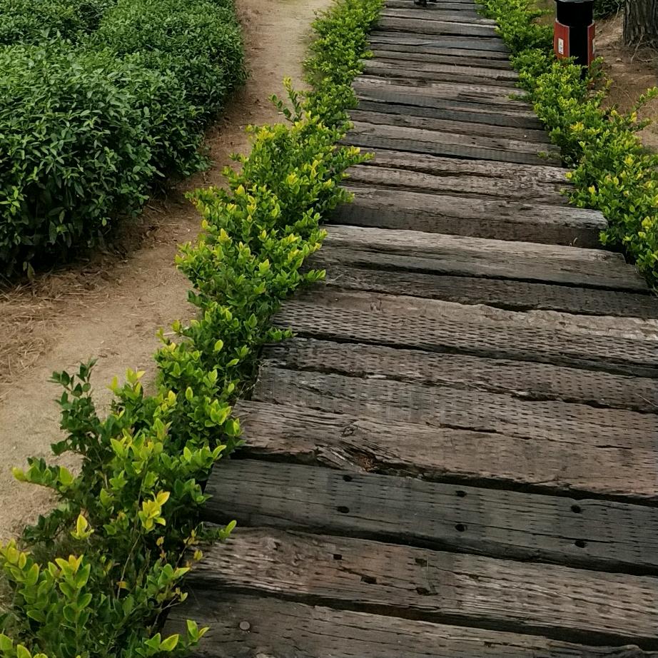 量力而行
