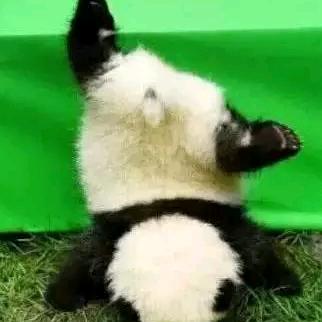 农业镇长-