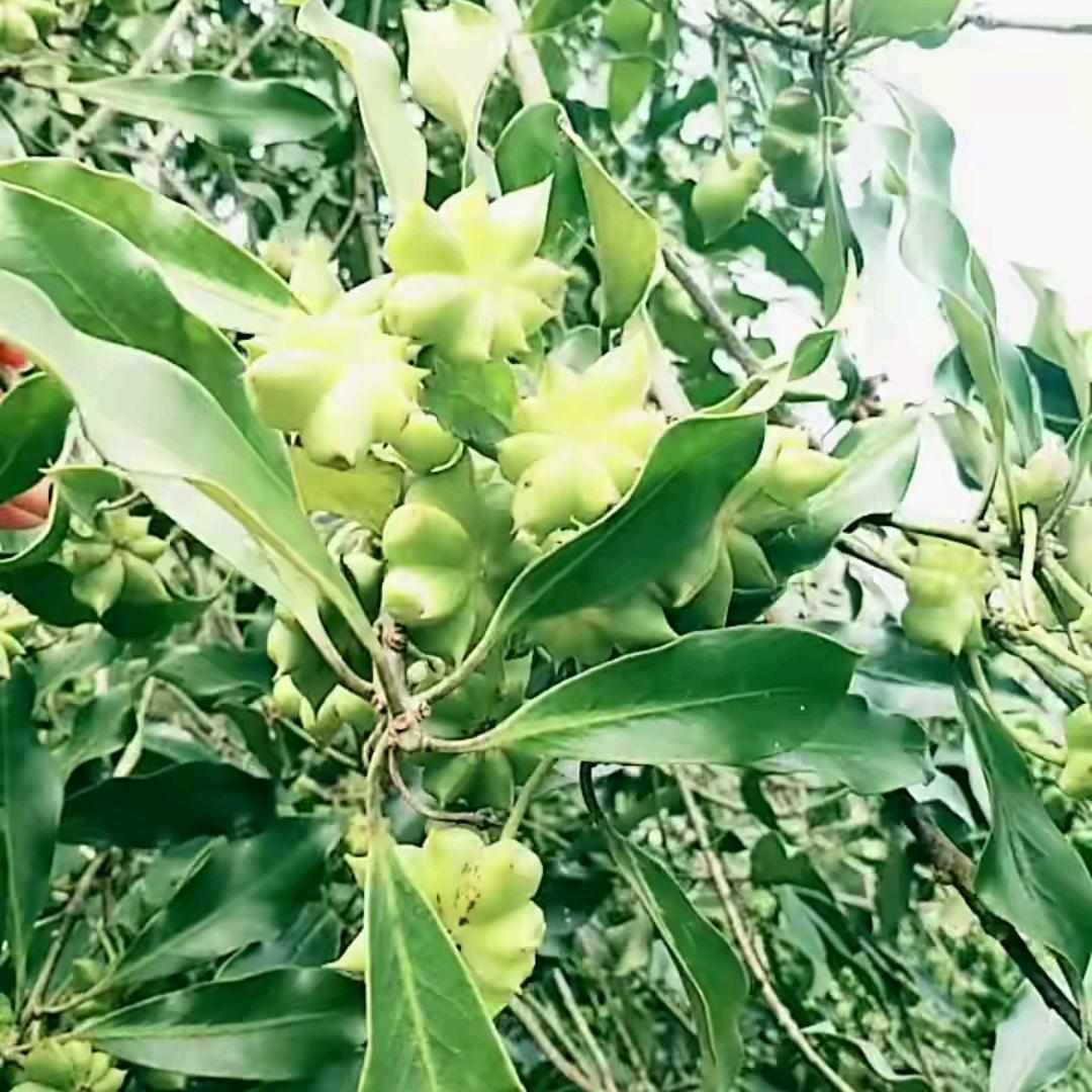 用户916935274768LXH