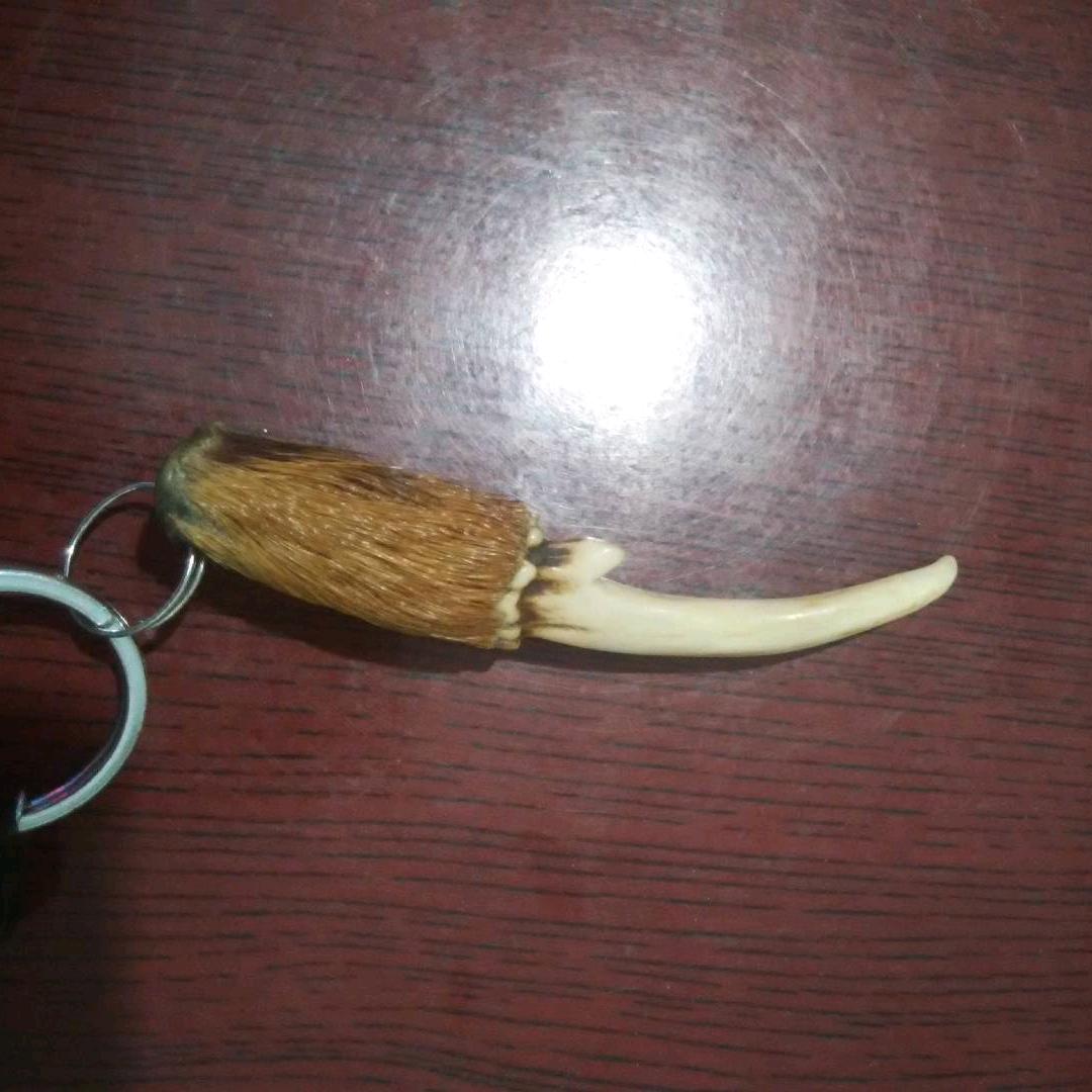 飘逸