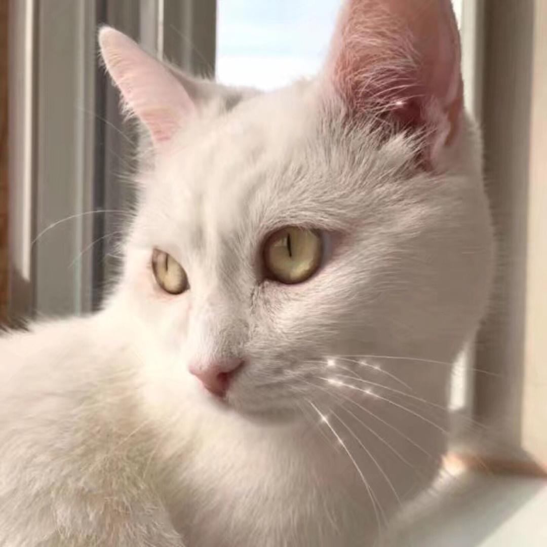 🍤虾仁不wink๑