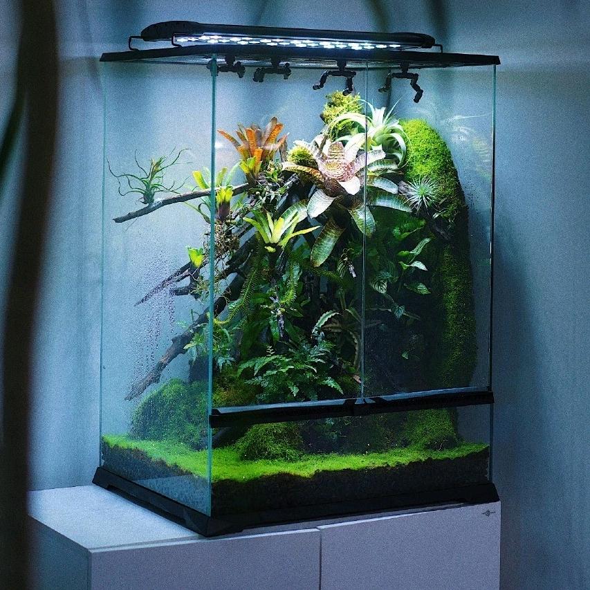福州森海水族