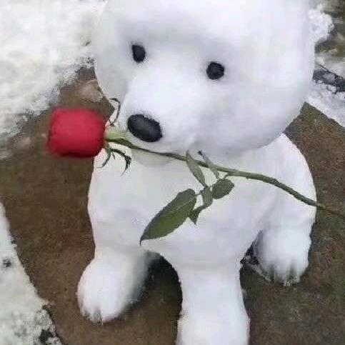 我是你的小鹏哥