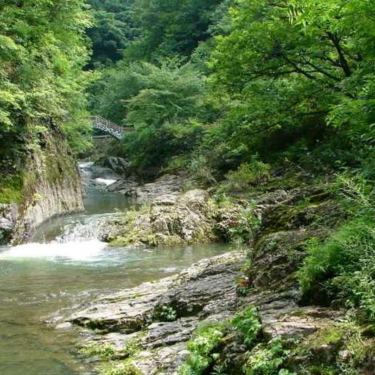 涨（zhang）米666