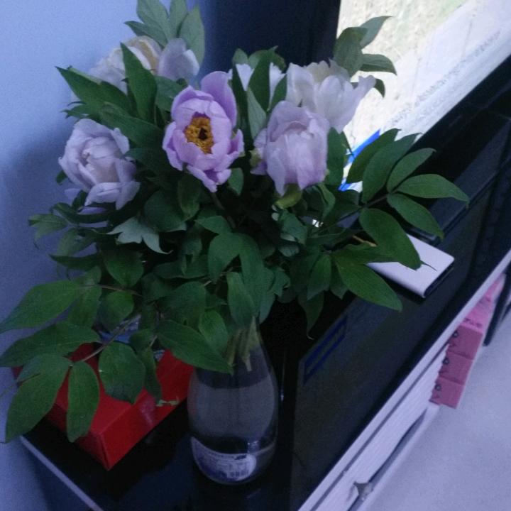 家有萌娃叫暖暖❤️❤️