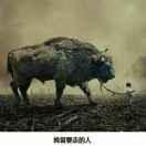 敢事敢闯￥