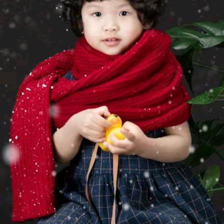 臭袜子协会成员