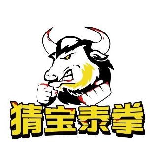猜宝泰拳