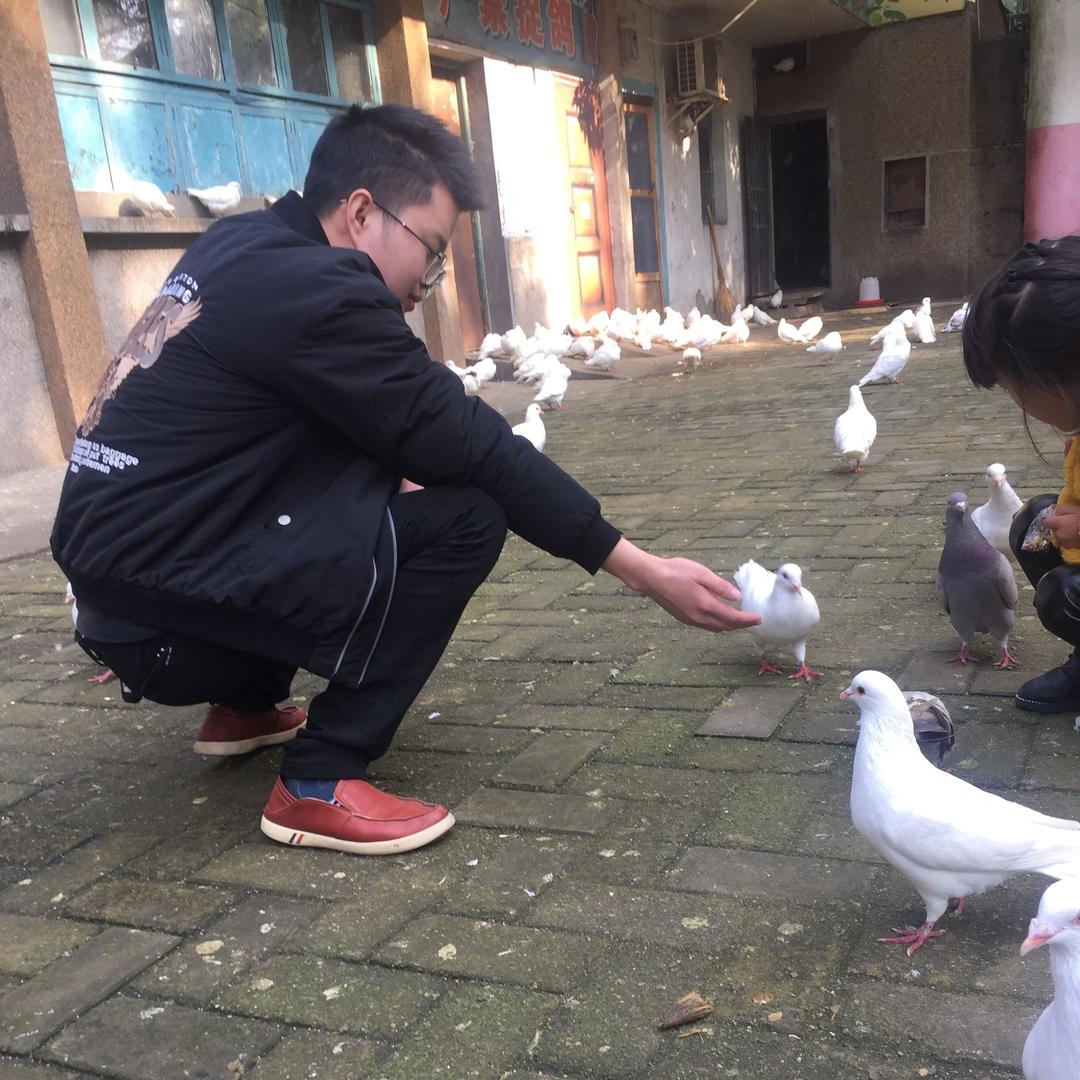 心想是陈呀