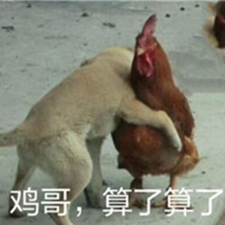 隐入人海
