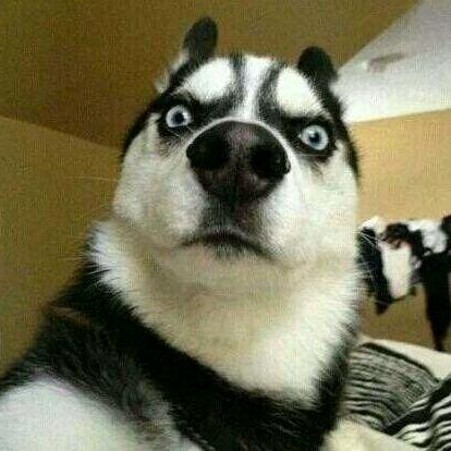 丨灬花老三 灬丨