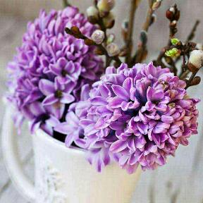 朝阳市场清香羊肉面馆