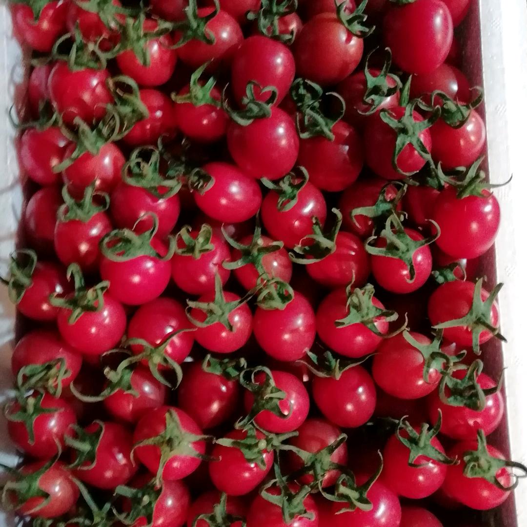 耿艳辉果蔬经销专业合作社