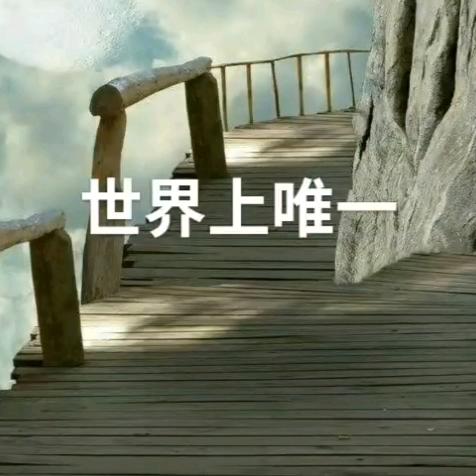 醉美人生