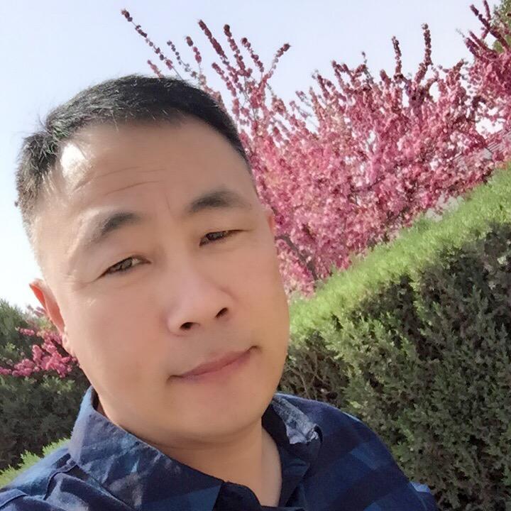 疆中鸟