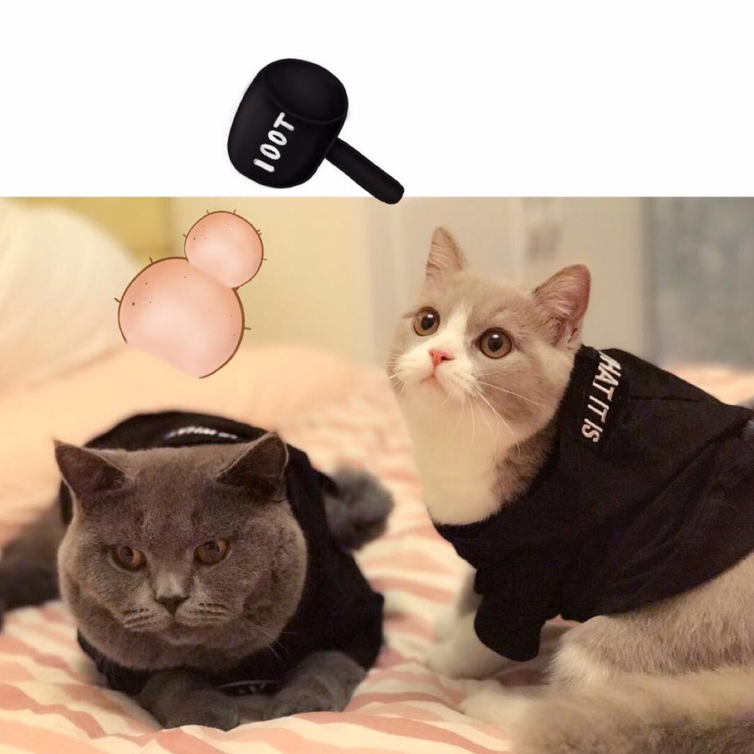 鼓捣哼呢